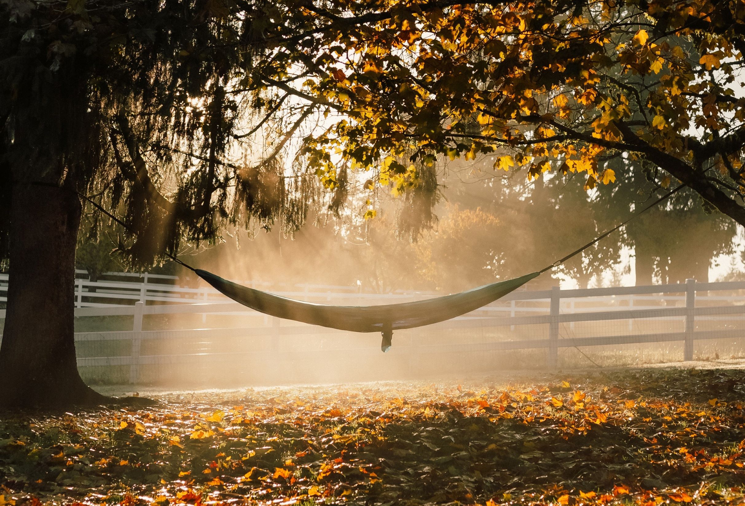 Can Hammocks Be Left Outside?