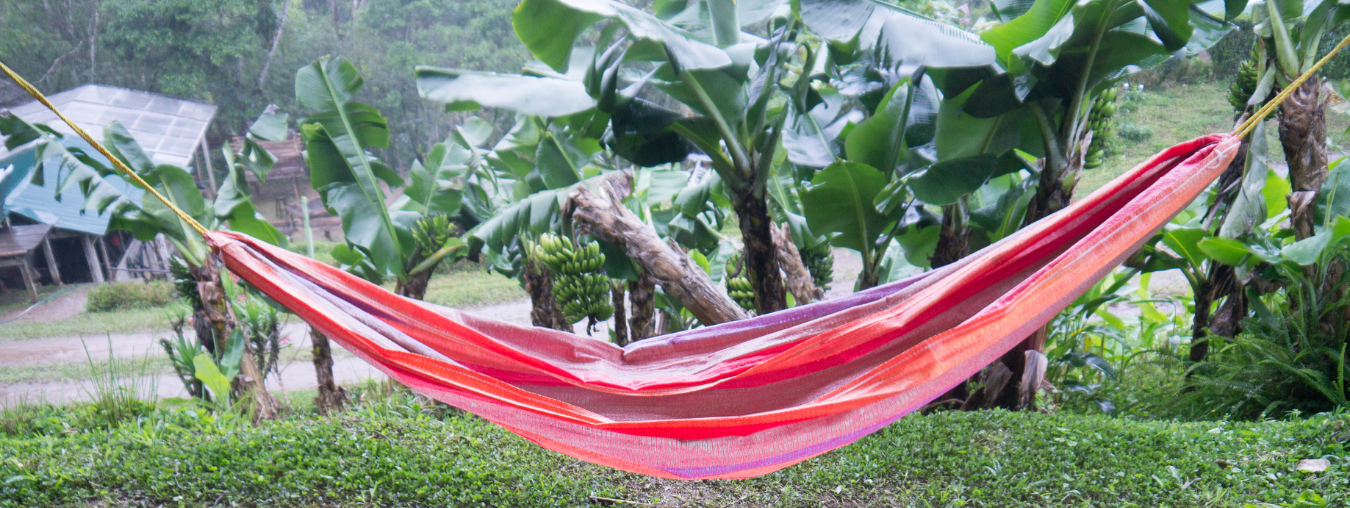 Can Hammocks Handle Being Left in the Rain?