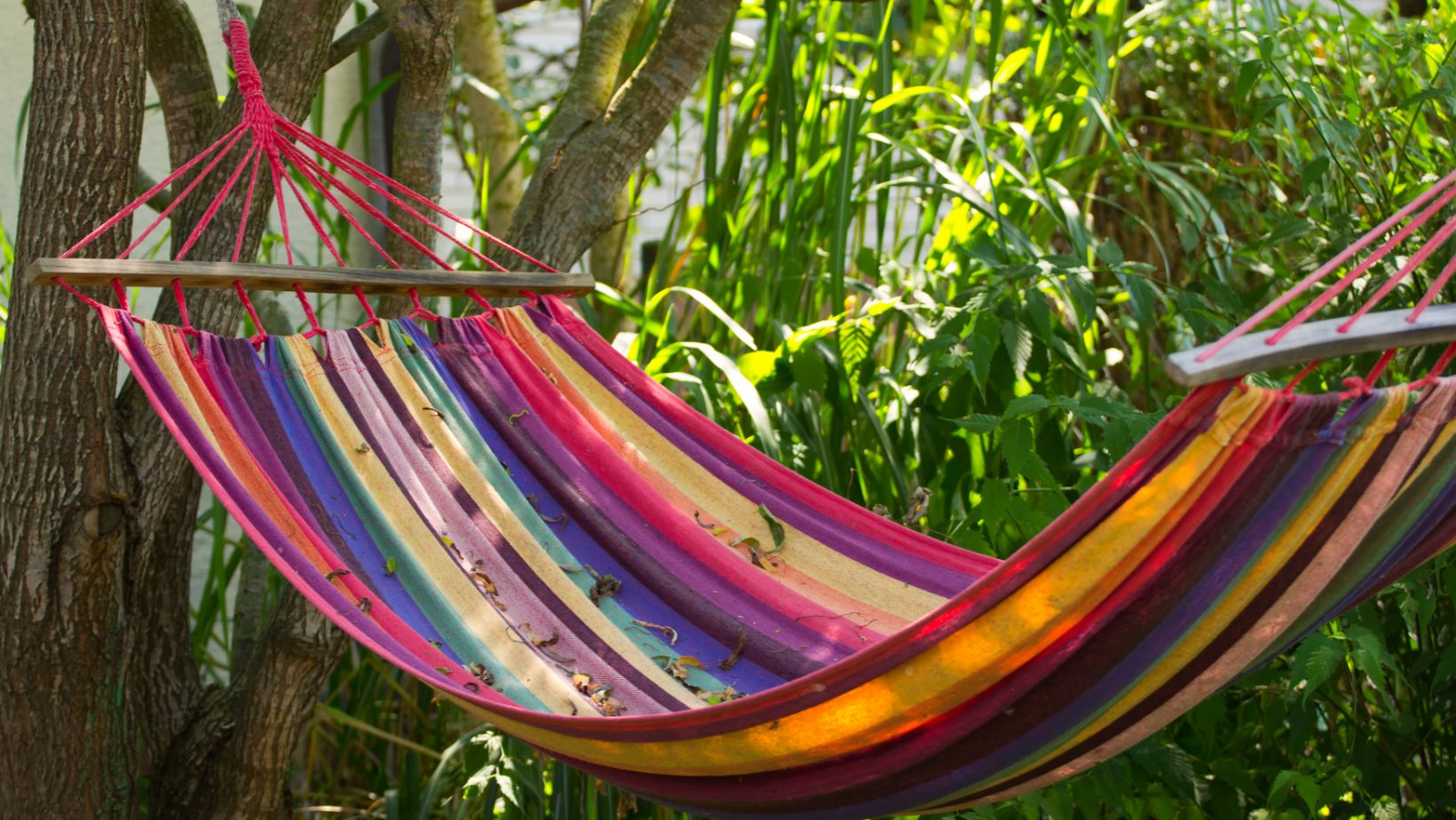 How to Clean a Hammock: The Complete Guide