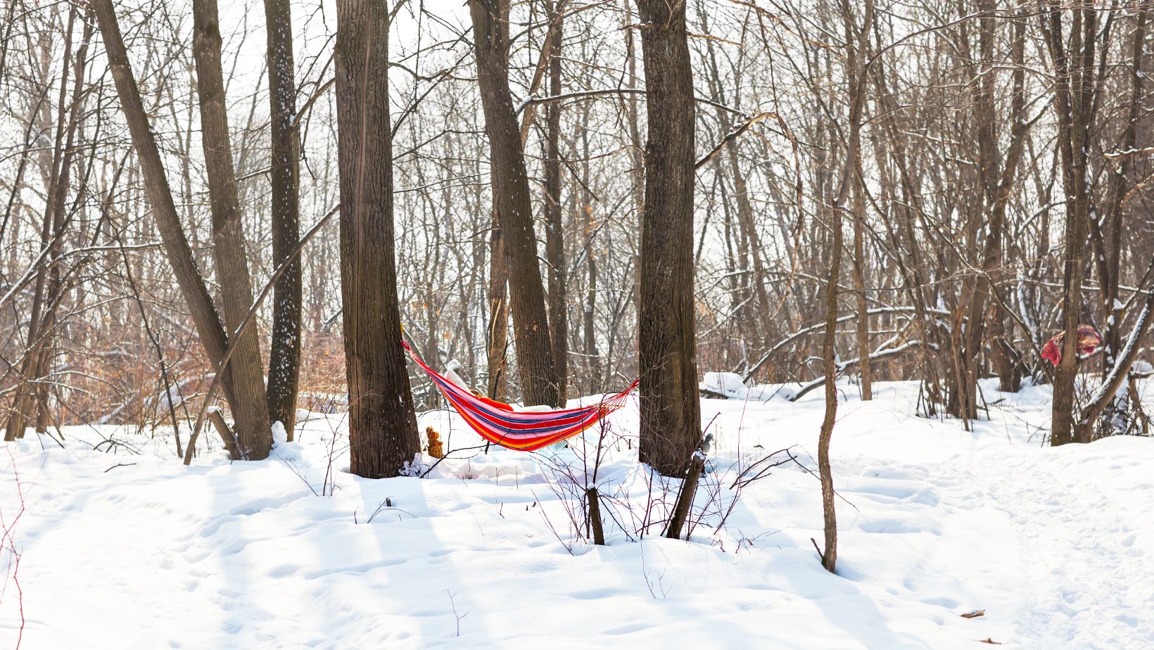 Can You Leave a Hammock Outside in the Winter?