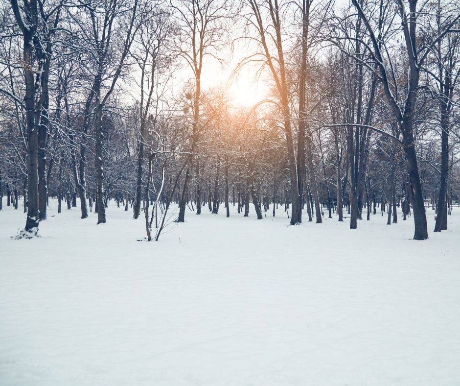 9 Tips For How to Stay Warm in a Hammock